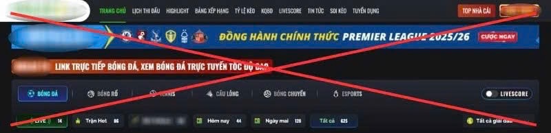 Khong chi bong da, cac mon bong chuyen, tennis