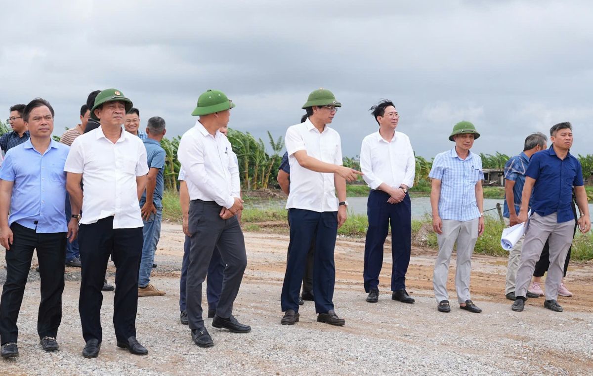 Lanh dao thanh pho kiem tra tien do Du an Dau tu xay dung tuyen duong noi tinh lo 354 qua khu cong nghiep Kien Thuy den duong bo ven bien tai xa Doan Xa (cu). Ảnh:  Cong TTDT Hai Phong