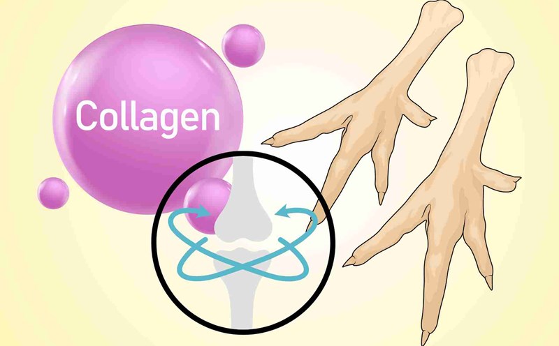 Eat chicken feet properly to supplement collagen that is good for the skin and joints