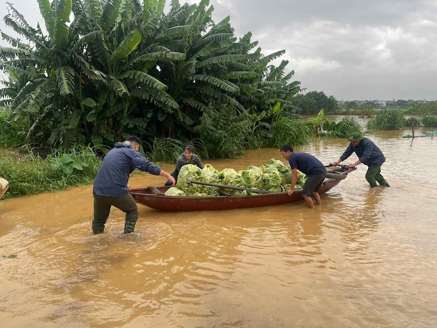 Luc luong Cong an va Quan su xa Minh Chau kip thoi ho tro Nhan dan thu hoach hoa mau, giam thieu thiet hai do mua lu
