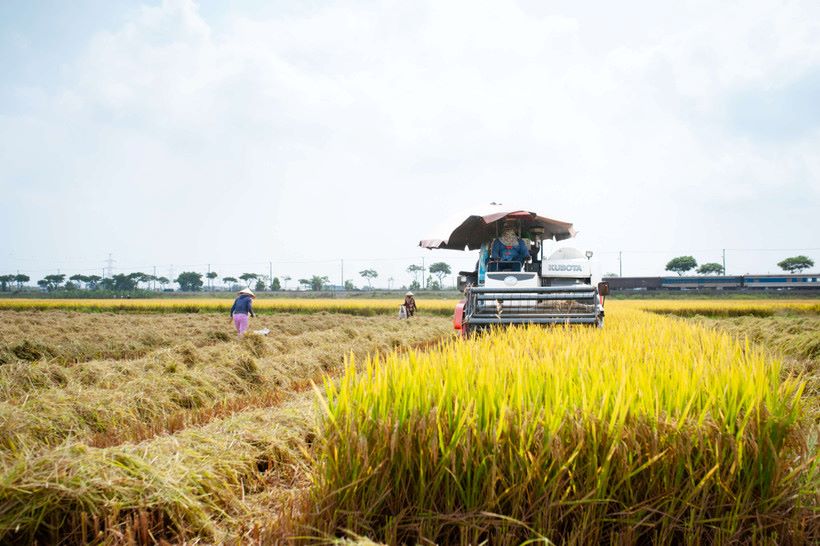 Da Nang establishes the Steering Committee for National Target Programs. Photo: Cong Vinh