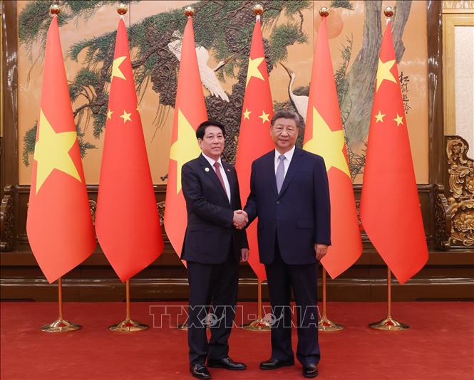 Politburo member and President Luong Cuong and General Secretary and President of China Xi Jinping. Photo: VNA