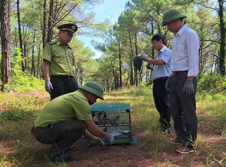 기능 부대가 새를 풀어 자연 환경에 경고합니다. 사진: A. Tuan.