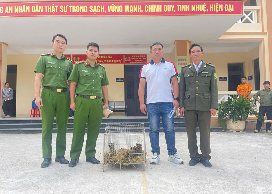 Cong an xa Coc Lau ban giao 3 ca the meo rung cho Trung tam Du lich va Bao ton sinh vat Hoang Lien