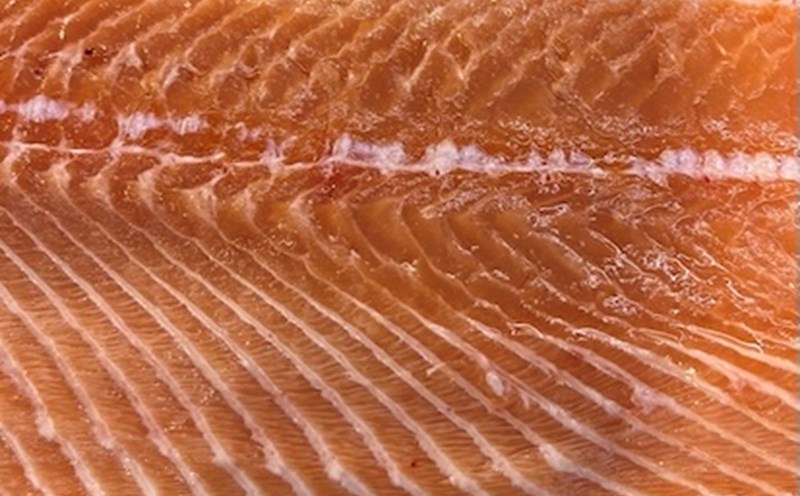 Salmon is a type of protein that can be chosen for dinner to avoid belly fat accumulation. Photo: Kieu Vu
