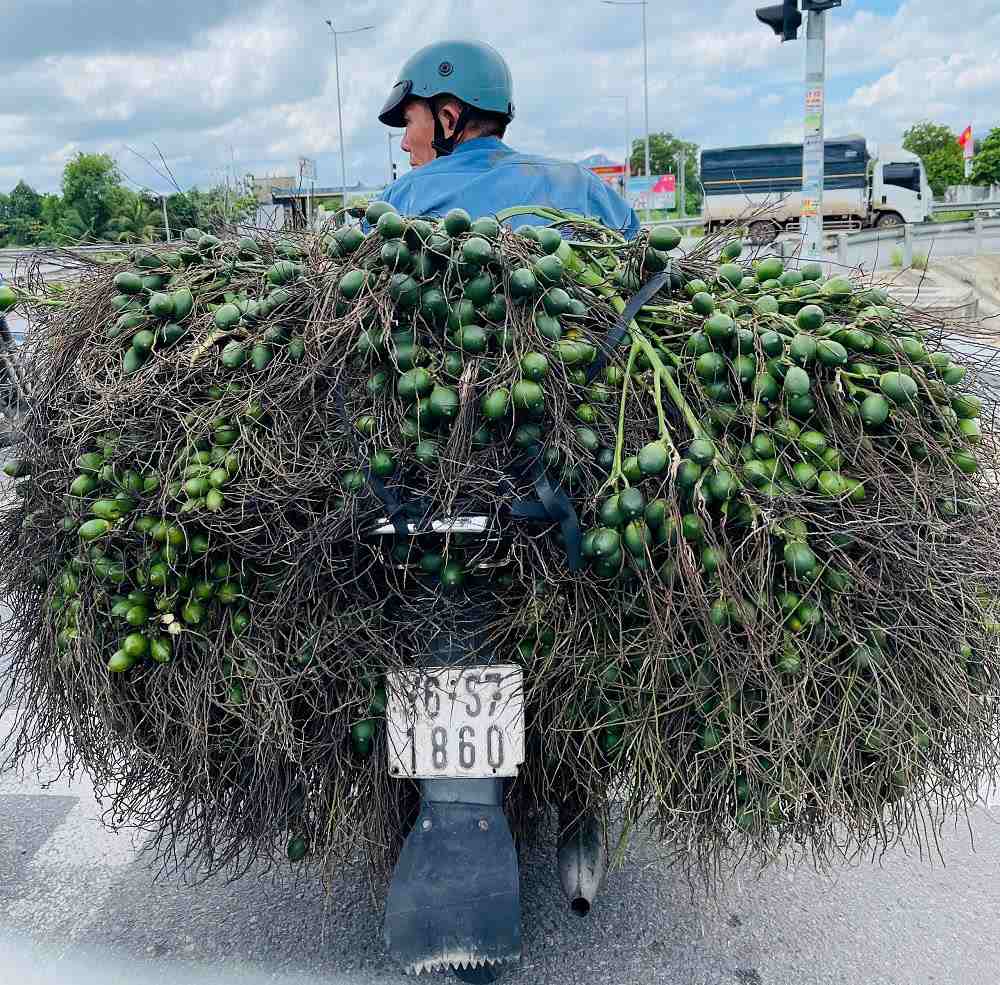 Thuong lai thu mua cau tuoi. Anh: Vien Nguyen