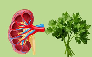 Gia vị bí ẩn giúp thận thải độc tự nhiên