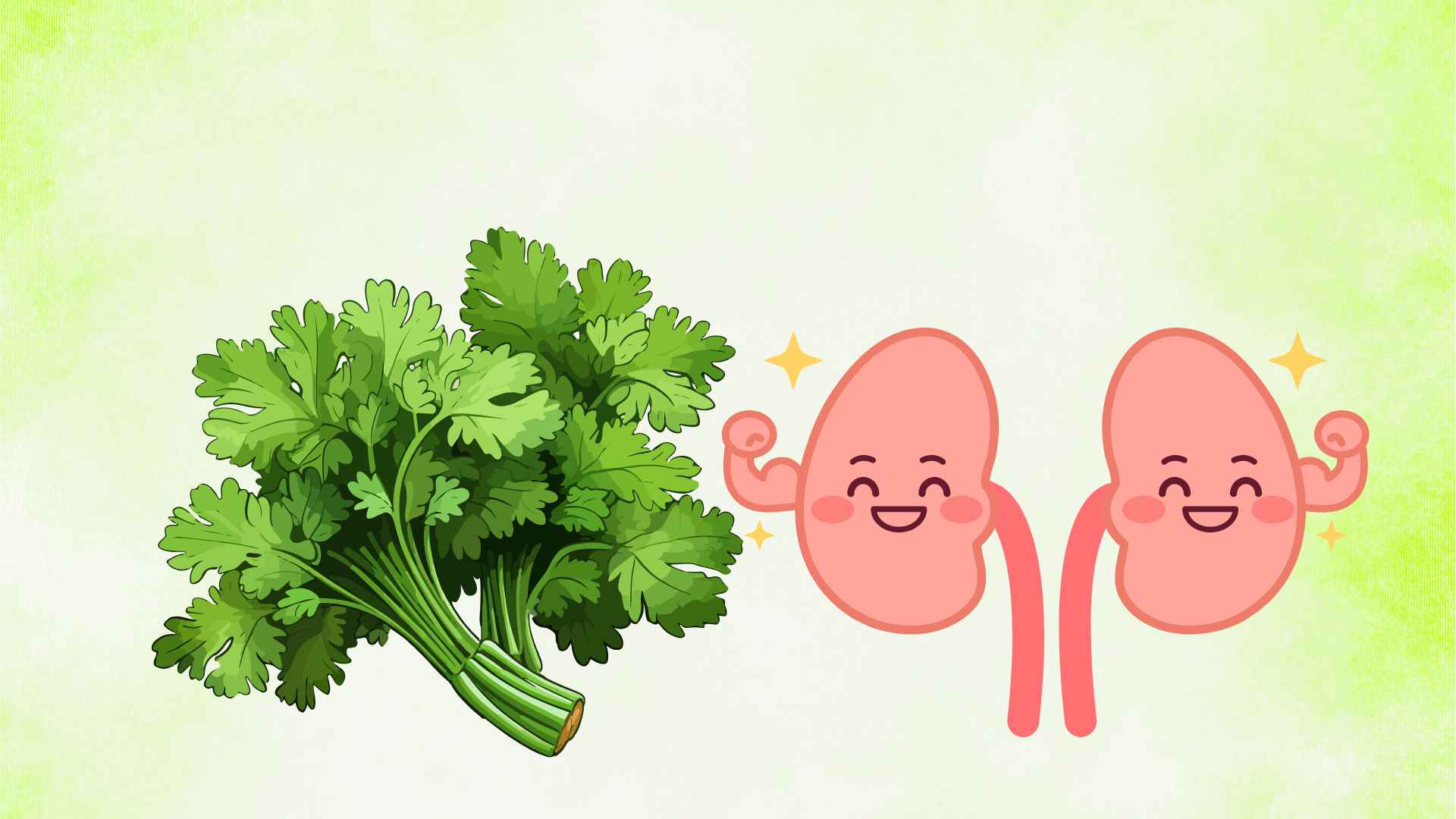 The secret to kidney detoxification that few people expect from the smell of old onions. Graphic photo: Hoang Loc