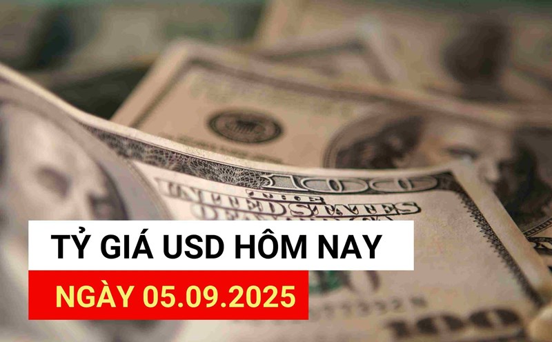 USD exchange rate today 5.9: Reasons for USD reversal
