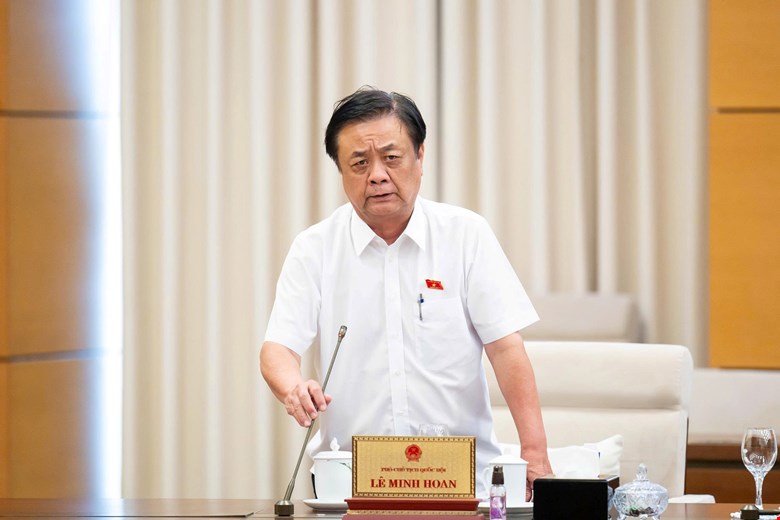 Vice Chairman of the National Assembly Le Minh Hoan gave his opinion on reports on crime prevention and control and law violations, including fraud crimes. Photo: Quochoi.vn