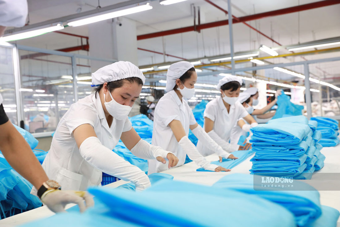 2025년 고용법에 따른 노동자의 권리와 의무. 삽화: 하이 응우옌