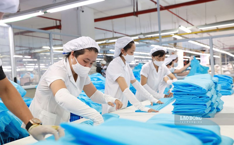 Rights and obligations of employees according to the 2025 Employment Law. Illustrative photo: Hai Nguyen