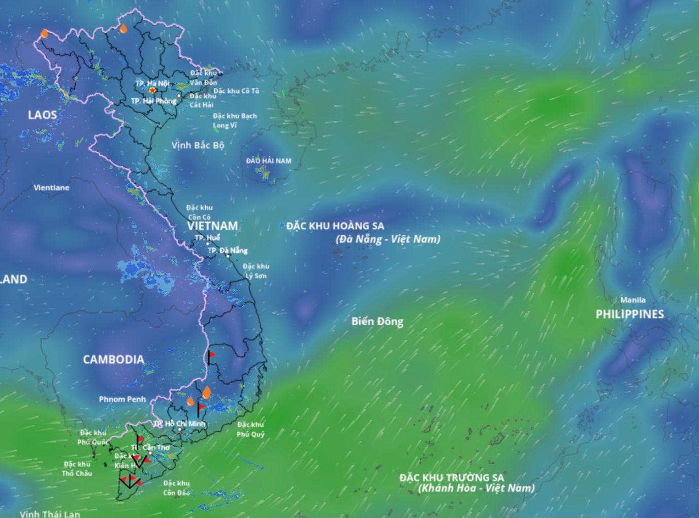 The low pressure area is active in the eastern sea area of the northern East Sea. Source: Vietnam Disaster Monitoring System