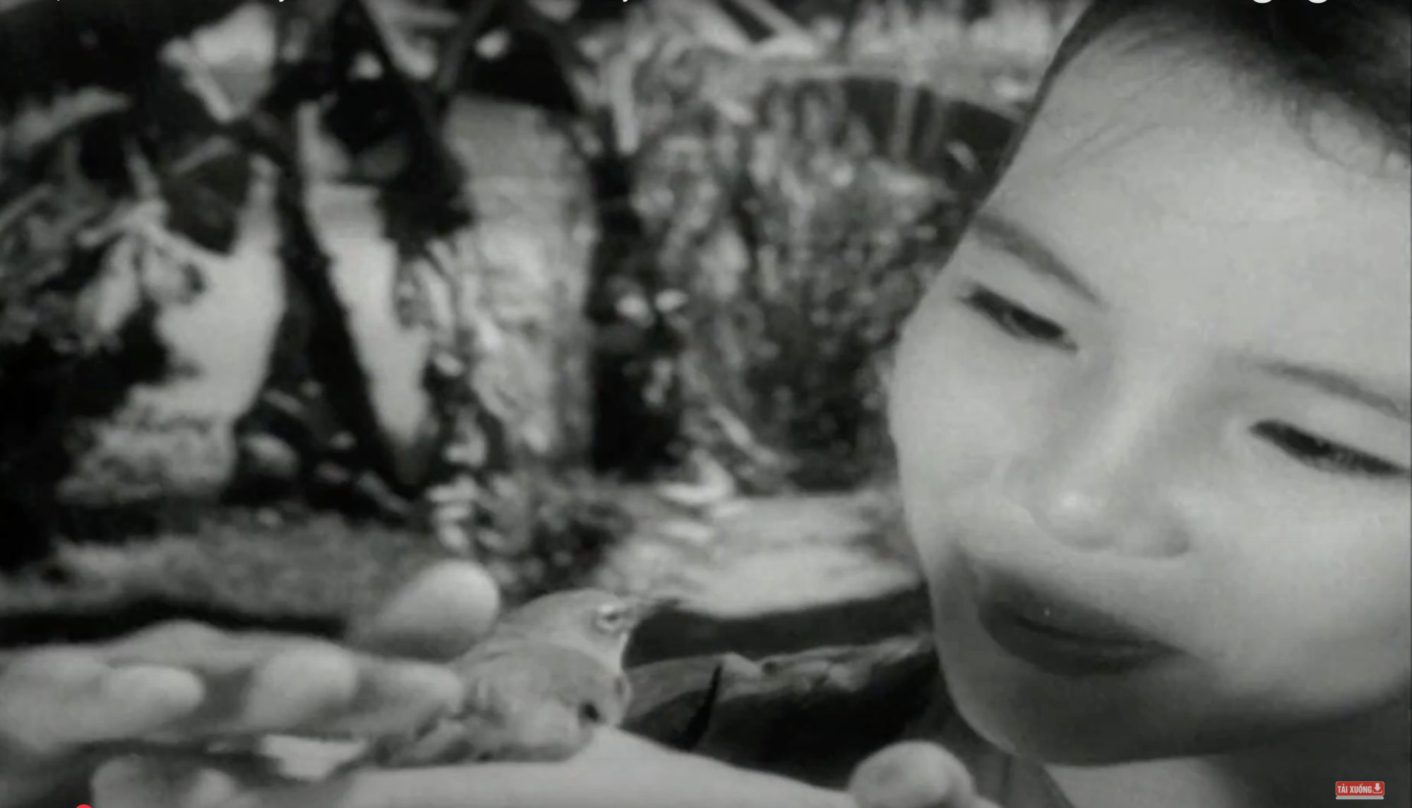 La scene du film "The Rim Bird" (1962). Photo documentaire