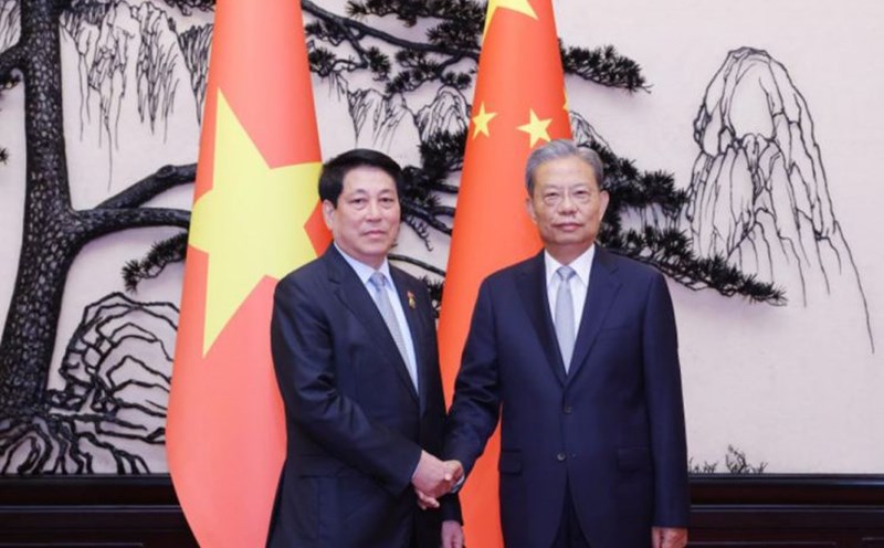 Politburo member and President Luong Cuong met with Chief People's Artist of China Zhao Lusi on September 4, 2025. Photo: VNA