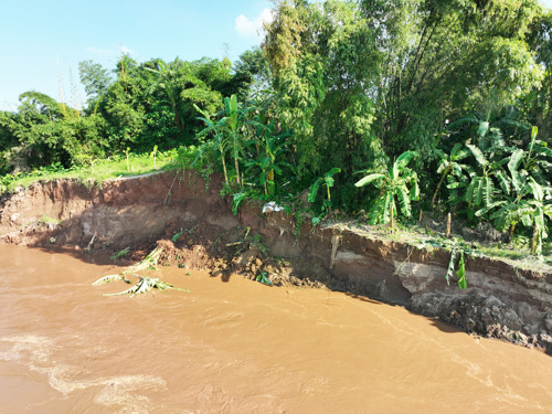serious landslide in Huong Non Area 12, Tam Nong Commune. Photo: Tam Nong Commune People's Committee
