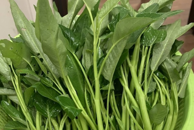 This is a vegetable that can support calcium and blood supplementation. Photo: Kieu Vu