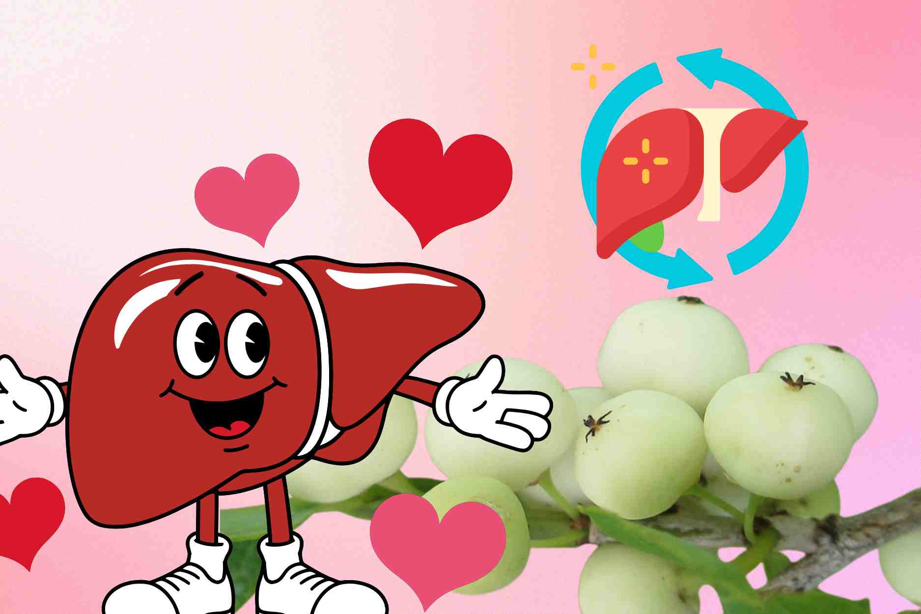 Refrigerated rice plants with folk remedies help cool the liver and detoxify the body