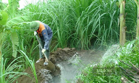 Các lực lượng địa phương của tỉnh Lào Cai thu gom, tiêu hủy lợn chết. Ảnh: Văn Đức.