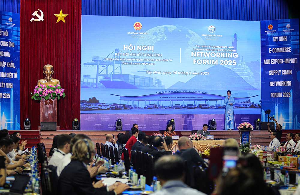 Toan canh hoi nghi. Anh: Thanh Vu