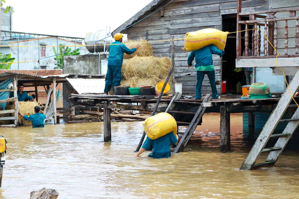 地元民兵が、浸水による被害を避けるために、人々の米や食料を乾燥した場所に搬送するのを支援しています。写真:Thanh Tuan