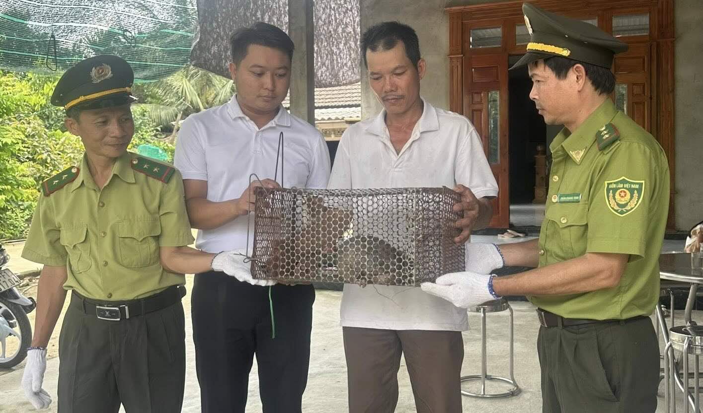 The forest rangers received the wild pangolin. Photo: K. Lam.