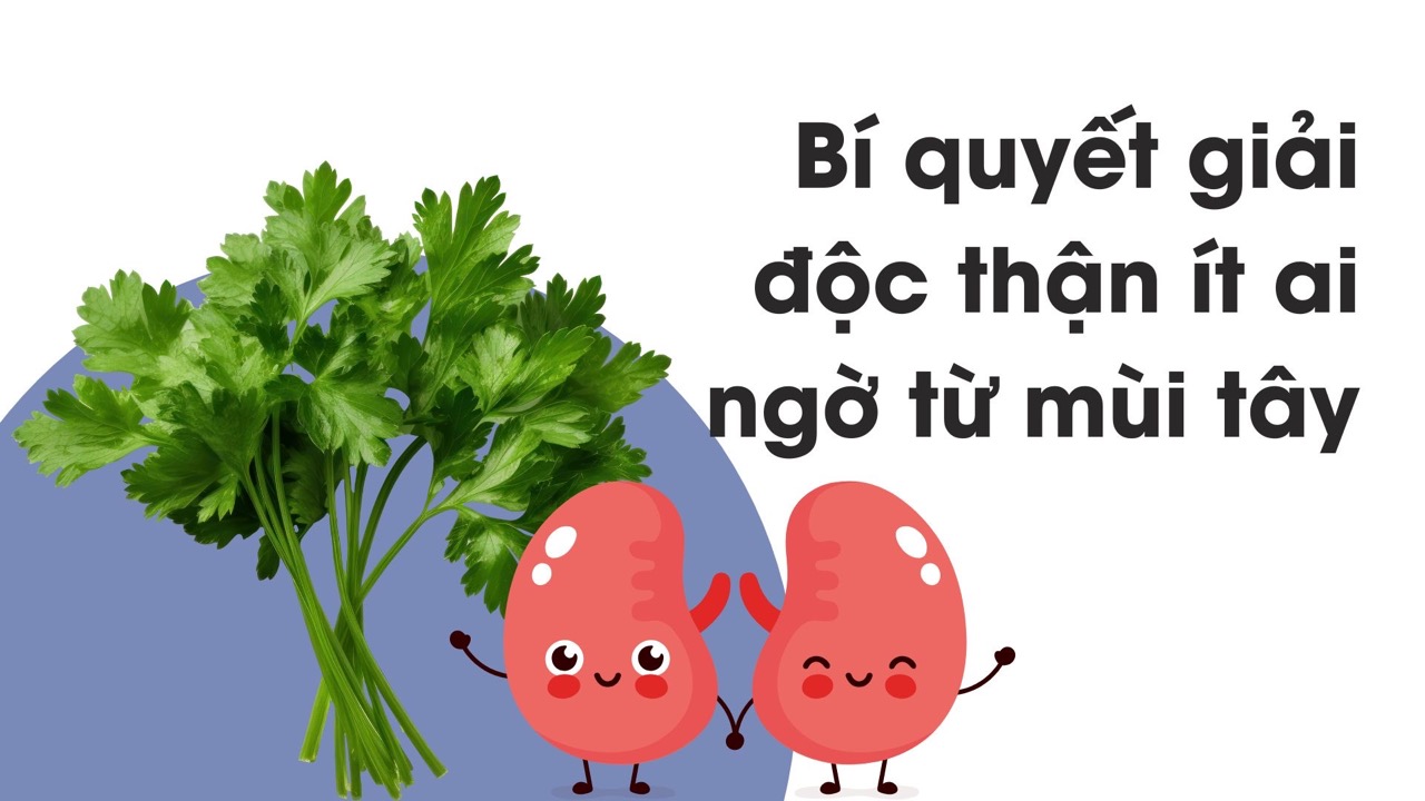 リンゴには抗酸化物質が含まれており、炎症を軽減し、腎臓細胞を保護するのに役立ちます。写真:Huong Son