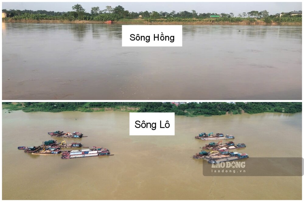 Image of the Red River and the Lo River passing through Phu Tho province at present. Photo: To Cong.