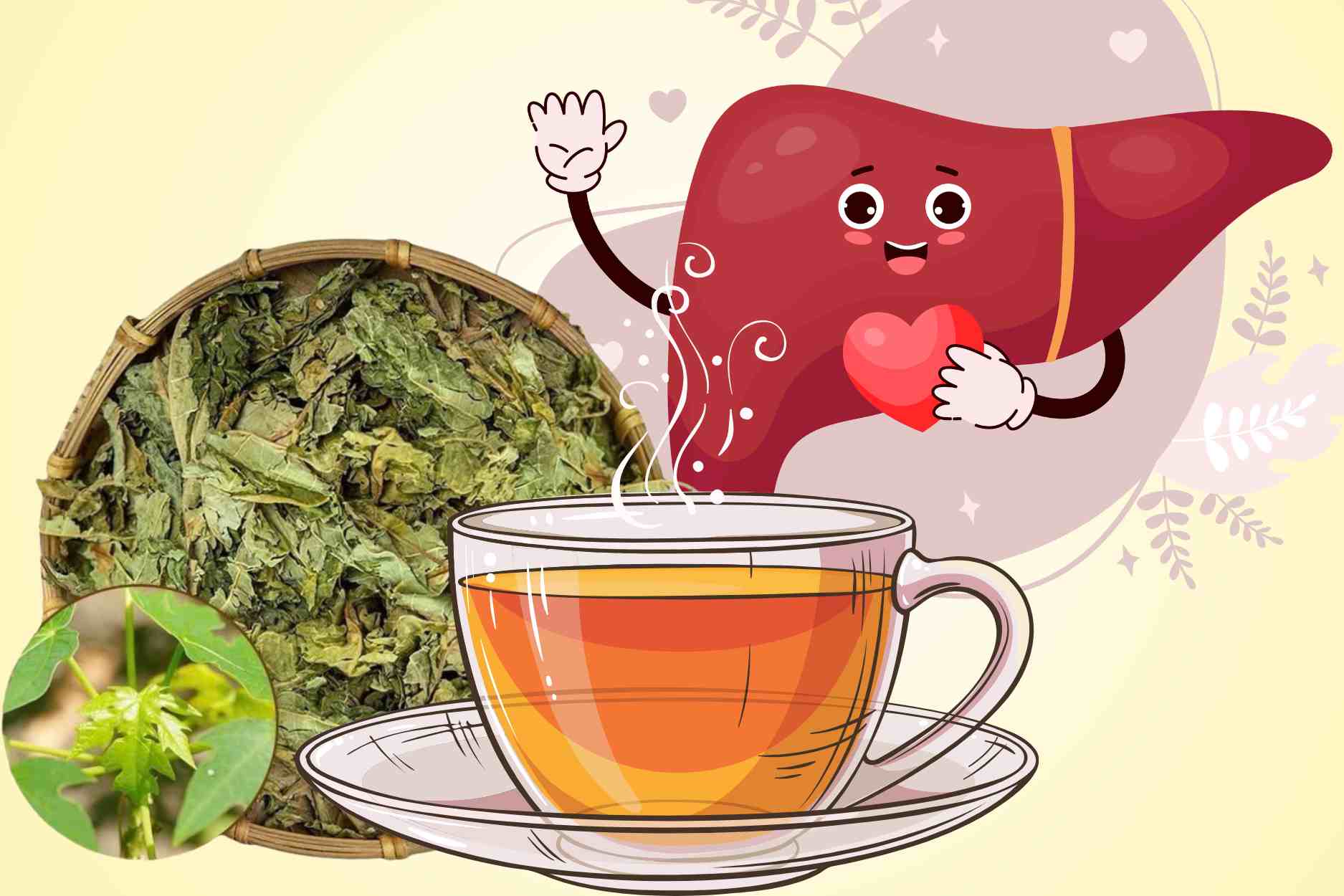 Savoir boire des feuilles de menthe sechees aide a controler la glycemie et est bon pour le foie