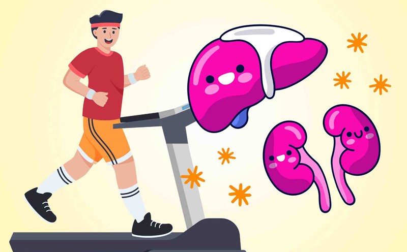 Tips for simple exercises to improve liver and kidney detoxification