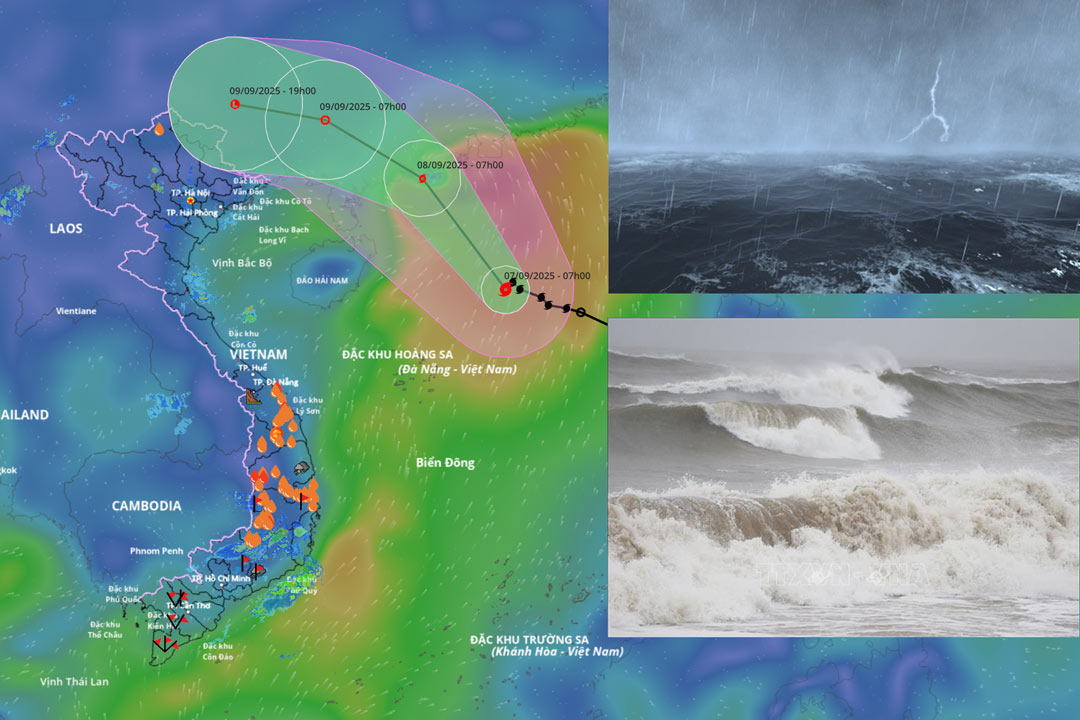 Forecast of the path of storm No. 7 Tapah in the next 24 hours and the landing area