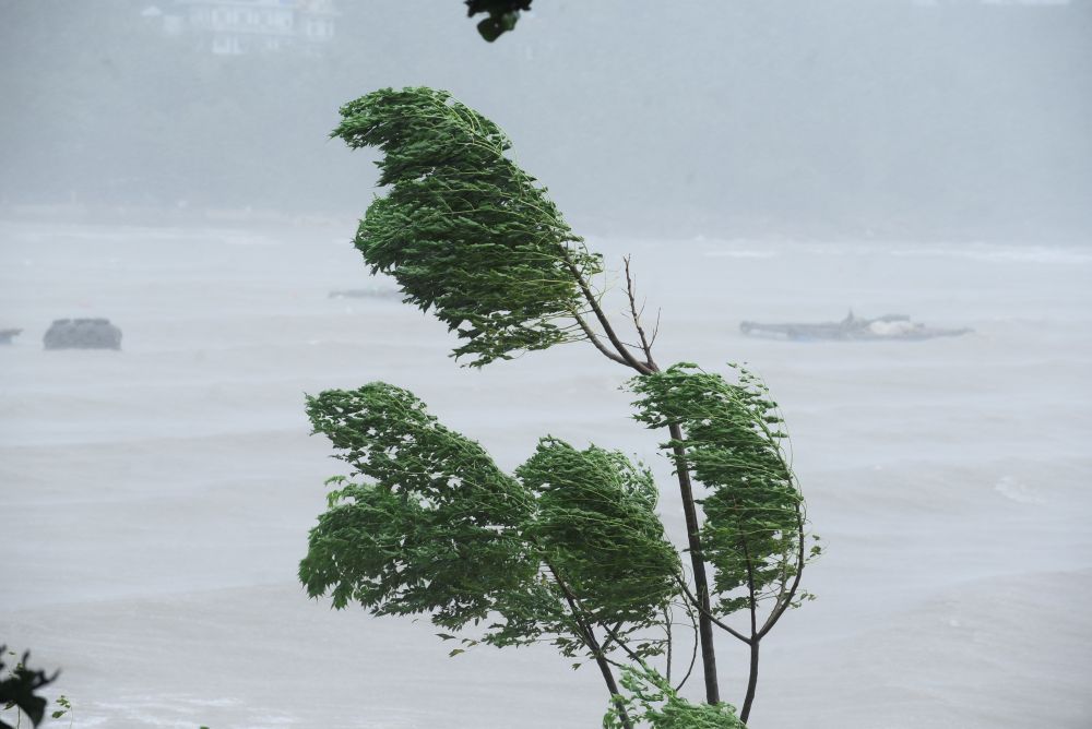 Typhoon No. 7 is forecast to cause rain in the North and North Central regions after making landfall in China. Photo: Quach Du
