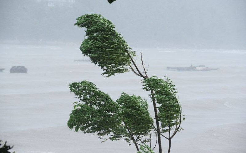 Typhoon No. 7 is forecast to cause rain in the North and North Central regions after making landfall in China. Photo: Quach Du
