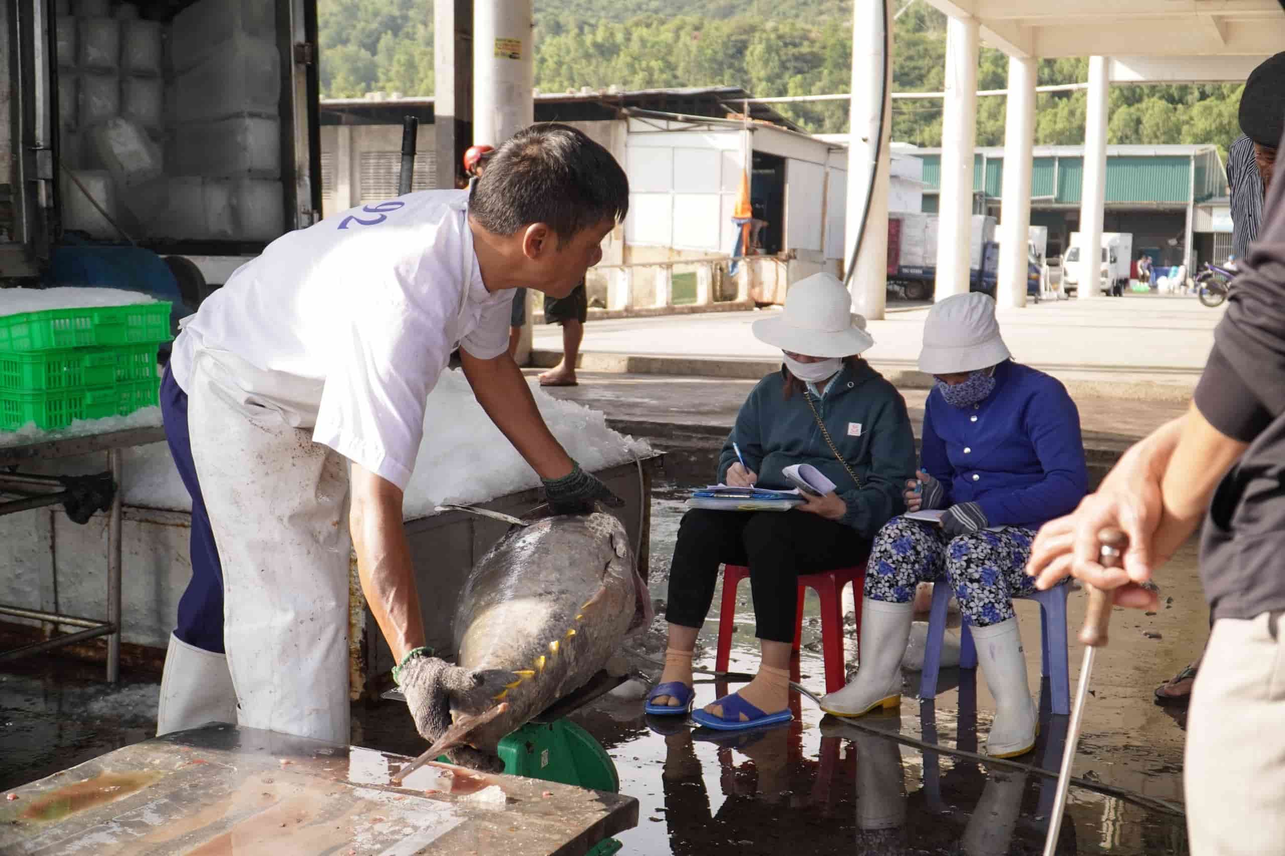 Khanh Hoa prevoit de deployer la vague de pointe de lutte contre l'exploitation des produits de la mer IUU. Photo : Huu Long