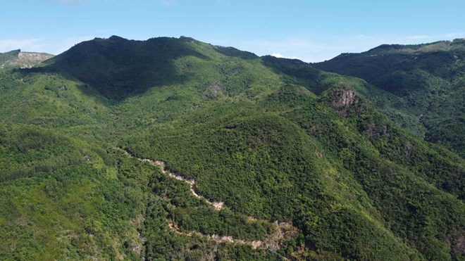 Les autorites competentes de la province de Khanh Hoa renforcent la gestion dans les zones ou des projets devraient etre mis en œuvre lies aux forets et aux terres forestieres. Photo : Huu Long