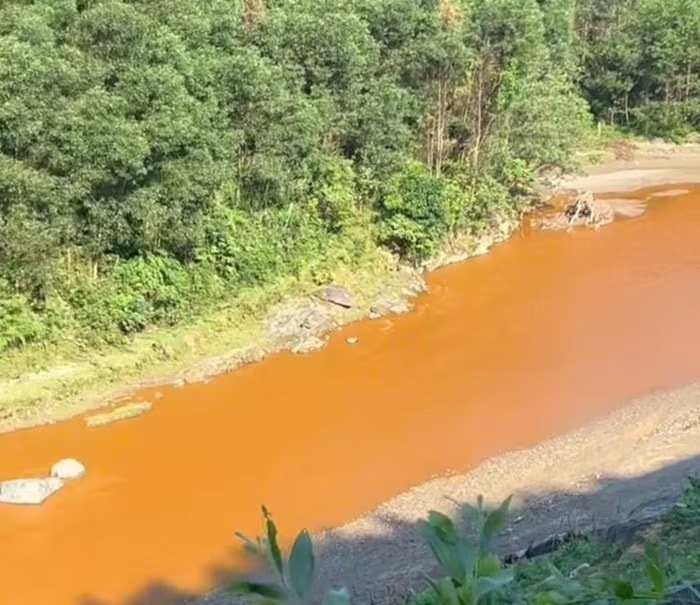 Le ruisseau Nam Huong traversant la commune de Chau Hong (Nghe An) a soudainement change de couleur en rouge et montre des signes anormaux. Photo : Ngoc Anh