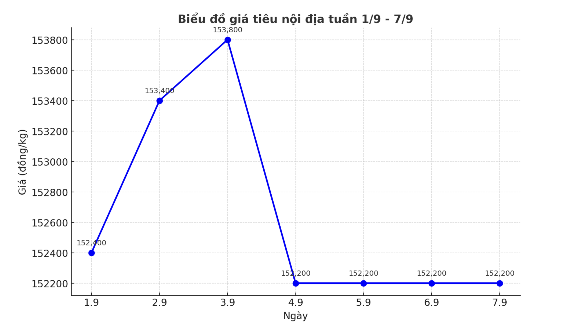 Xu huong tang giam cua gia tieu noi dia tu 1.9 den 7.9.2025, tang giam dan xen 1.000 dong/kg. Anh: Thanh Binh
