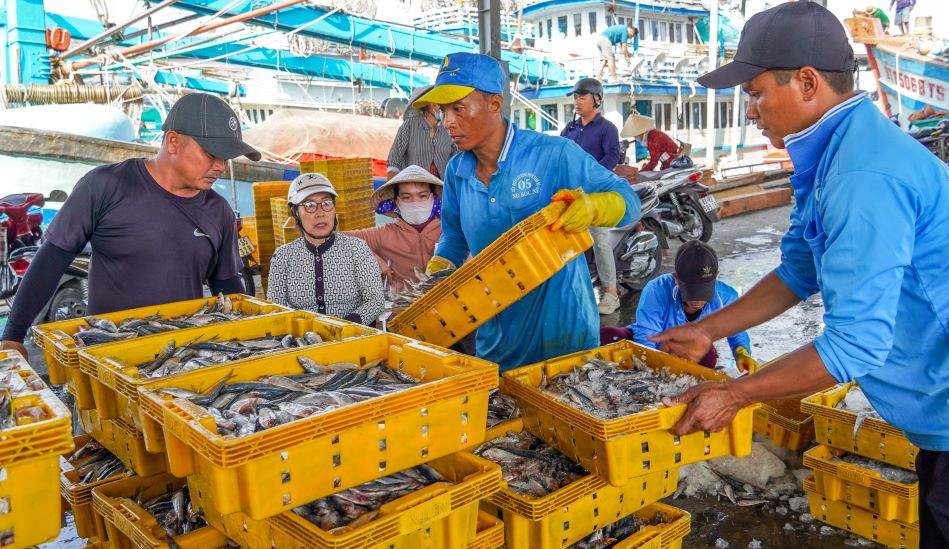 Cang cung da cap 102 giay xac nhan nguyen lieu thuy san tu khai thac (3.049 tan) va 111 giay chung nhan nguon goc thuy san (1.101 tan), trong do co 80 giay cho lo hang xuat sang chau Au (565,4 tan).