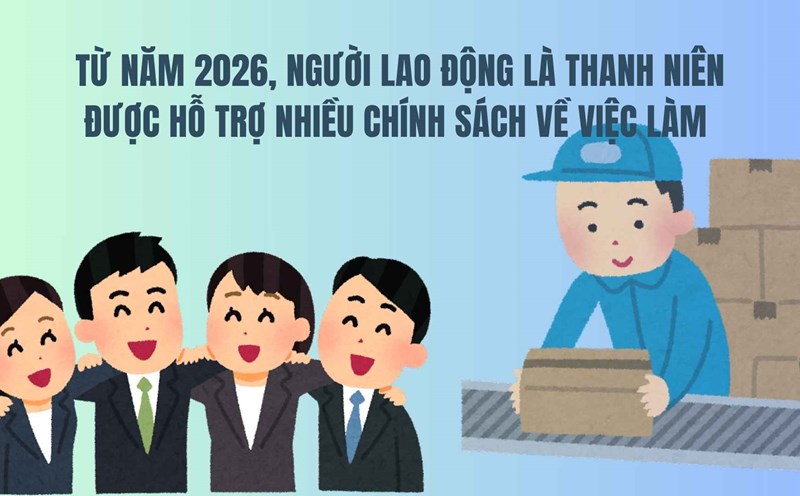 From 2026, young workers will be supported with many employment policies