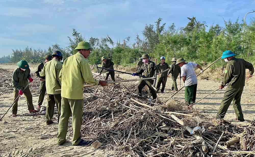 Rac thai phan lon la canh cay. Anh: Ha Thach.