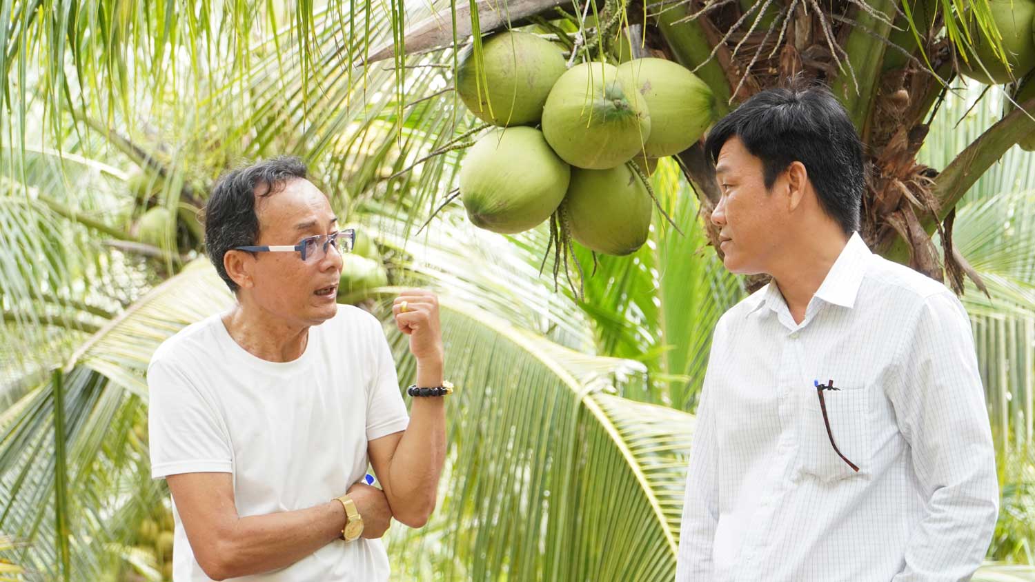 Phong Kinh te xa Cu Lao Dung tham quan vuon cua gia dinh ong Hoa (ben trai). Anh: My Ly