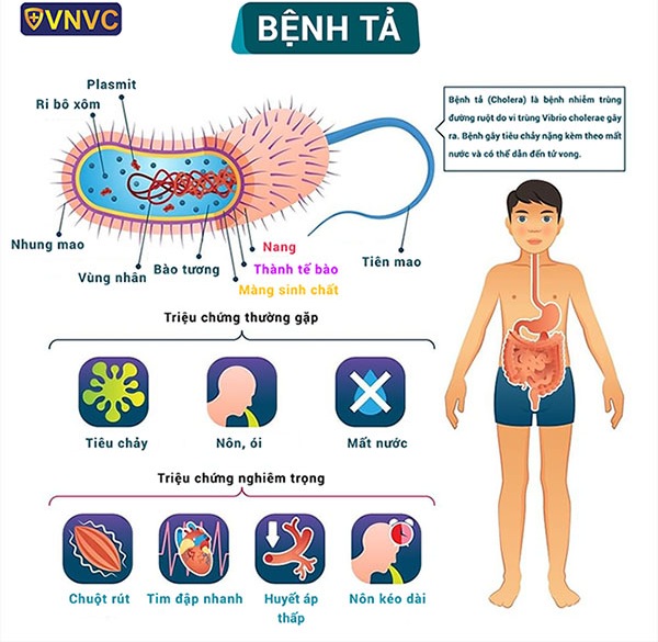Le Vietnam se mefie du cholera. Photo: VNVC