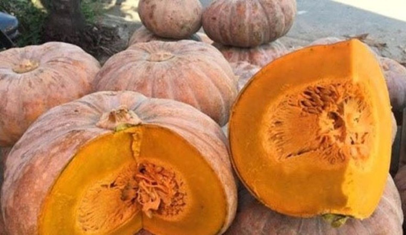 Le poivron rouge est riche en beta-carotene - un precurseur de la vitamine A un aliment essentiel pour la muqueuse des voies respiratoires. Photo : Bich Nhung