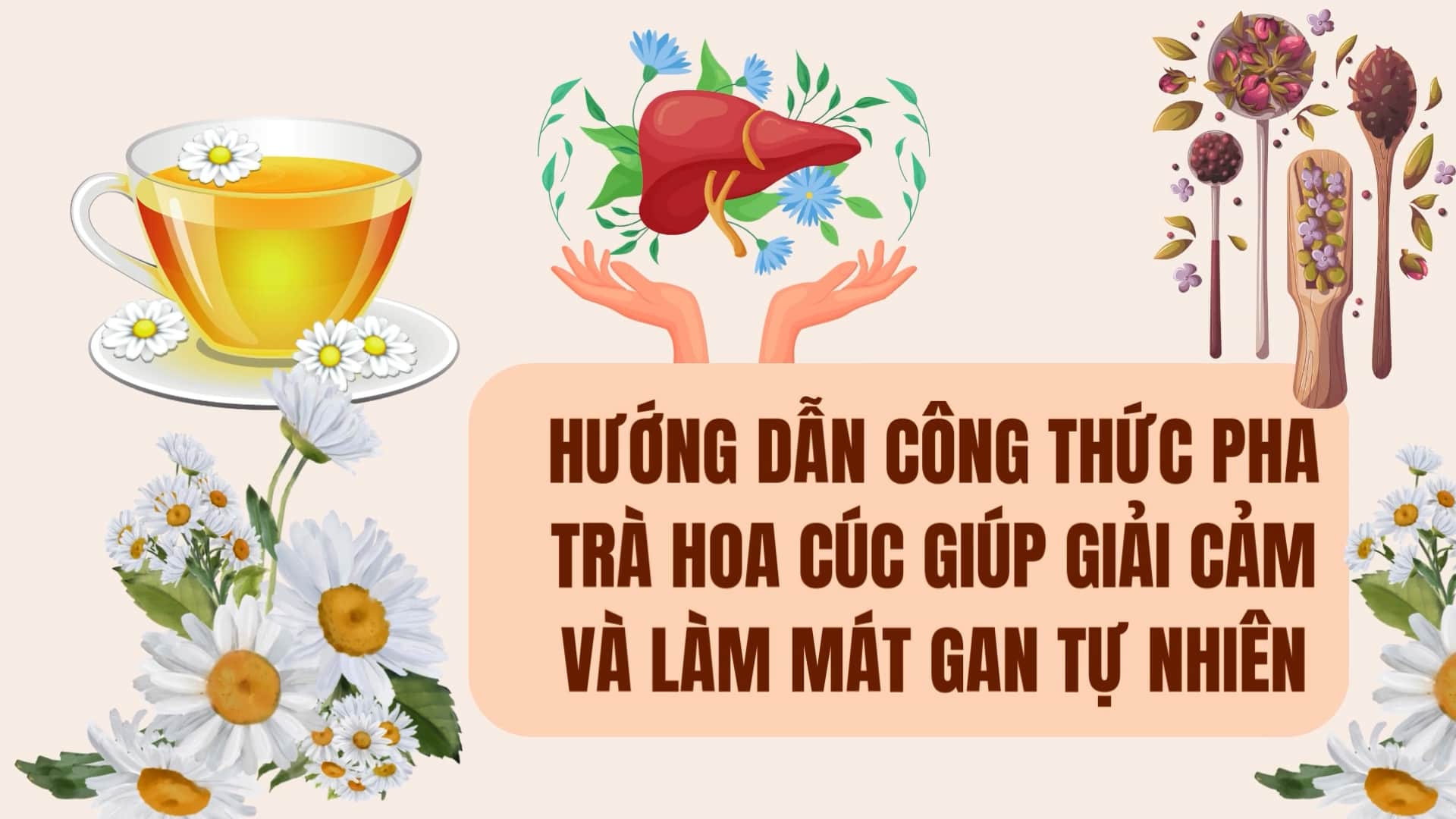 Instructions for making chamomile tea to help relieve discomfort and cool the liver naturally