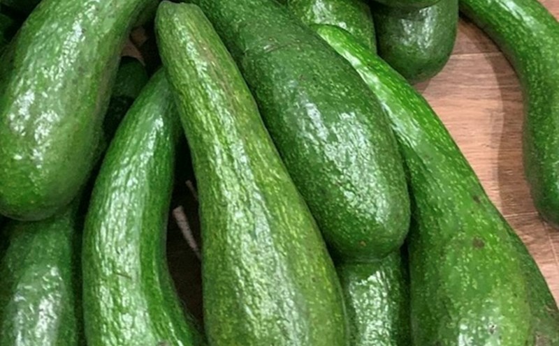 People with weak kidneys should consider eating avocados. Photo: Kieu Vu