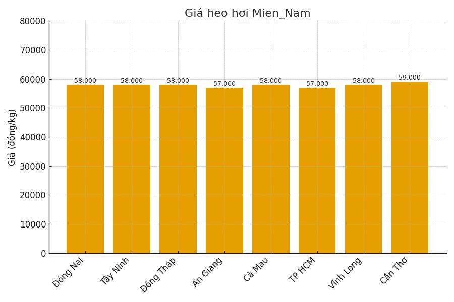 Gia heo hoi ngay 8.9 tai khu vuc mien Nam. Do hoa: Thuy Linh