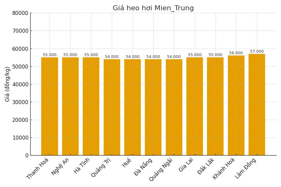 Gia heo hoi ngay 8.9 tai khu vuc mien Trung. Do hoa: Thuy Linh