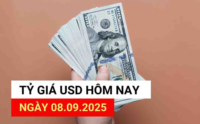 USD exchange rate today 8.9.2025.