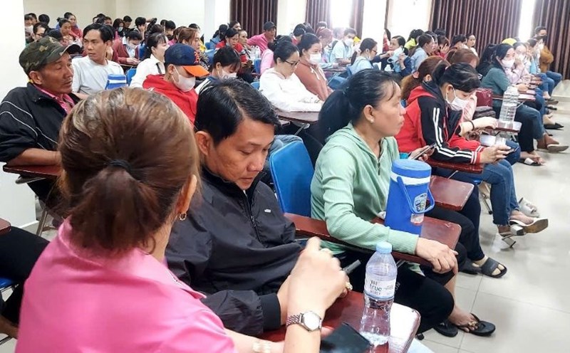 According to the regulations issued by the Ho Chi Minh City People's Committee, the working group established by the Chairman of the People's Committee of the commune, ward, and special zone of Con Dao is responsible for initially resolving collective labor disputes. Photo: Nam Duong