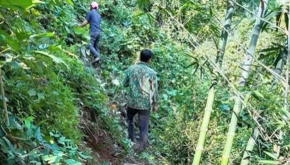 Local authorities conduct field inspections and assess the current status of cracks and threaten to cause landslides on the hill. Photo: Ngoc Anh